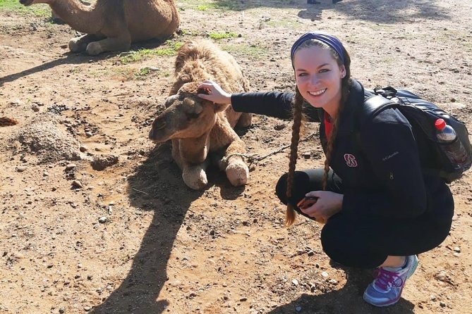 2 Days Tangier (Morocco) Trip from Seville - Key things you’ll notice on this 2-day Tangier trip