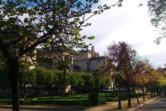 2h30 Private Walking Tour of Seville with Local Guide - Price and Logistics: What You’re Paying For (and What’s Extra)