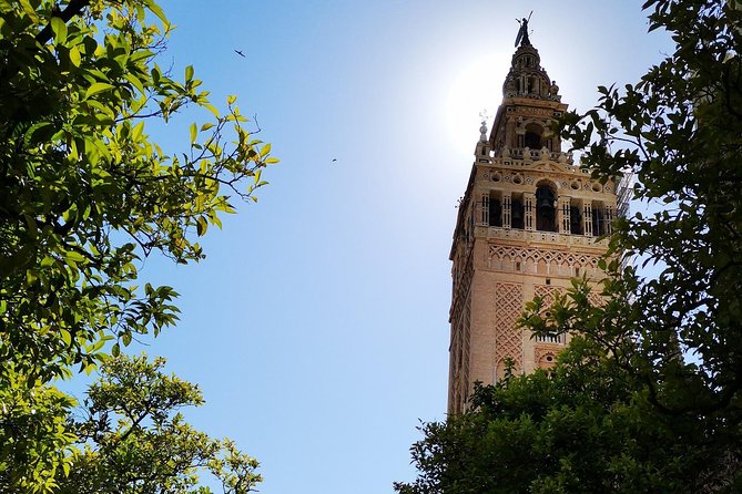 2h30 Private Walking Tour of Seville with Local Guide - Guides Matter: What the Strongest Reviews Suggest