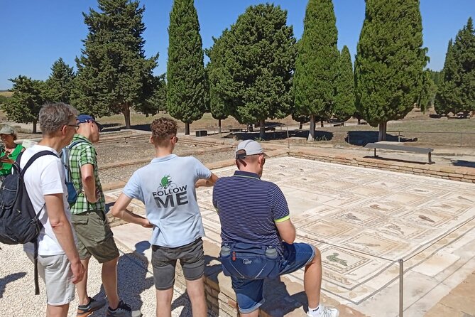5 hour Electric Bike Tour to the Ruins of Italica - Meet-up at C/ Alcalde Isacio Contreras: start smart, avoid stress