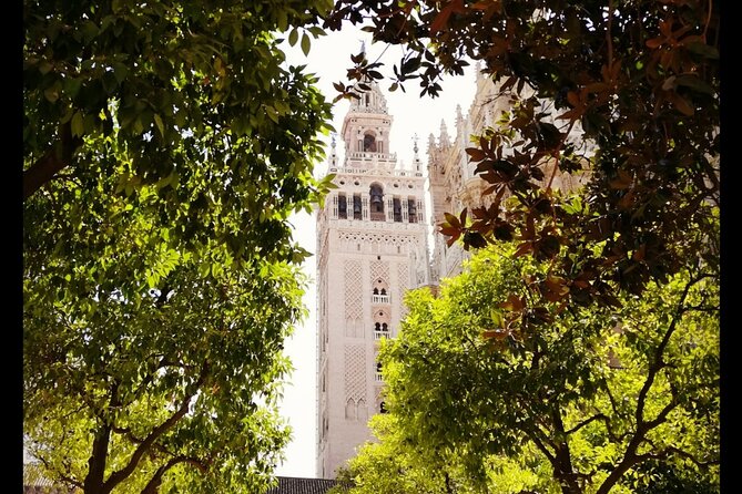 Alcazar and Cathedral of Seville Private Tour - Real Alcázar and Cathedral, One Perfect Seville Combo