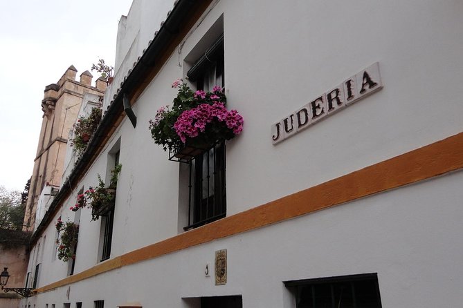 Alcázar and Jewish Quarter Guided Walking Tour in Seville - Price and value: what $68 buys you in practice