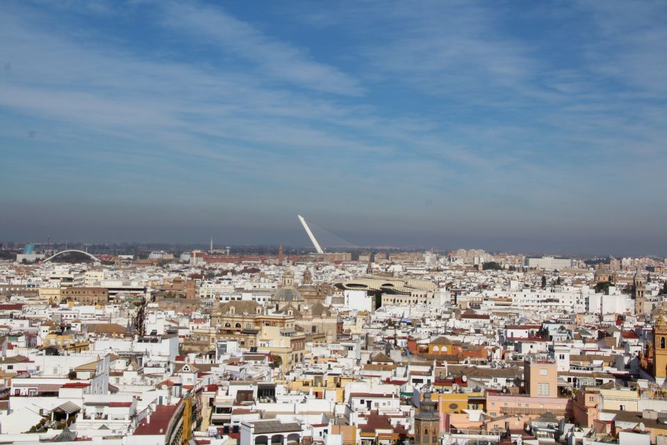 Alcázar Guided Tour & Rooftop Tour - Who Should Book This Tour (and Who Might Not)