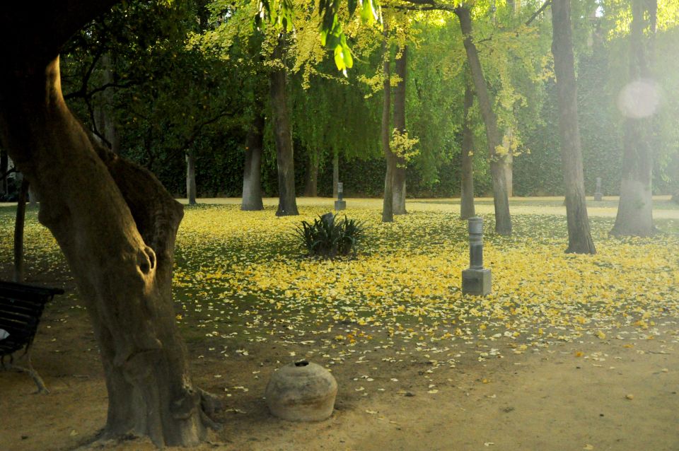 Alcázar of Seville Skip-the-Line Tickets and Guided Tour - Who should book this Alcázar tour (and who might pass)