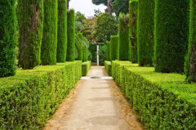 Alcazar of Seville VIP Tour - Preferential Entrance: Getting In Without the Usual Alcázar Chaos