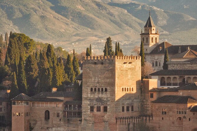 Alhambra Private Tour & Nazaries Palaces from Seville with Pickup - Nasrid Palaces: where the details make sense