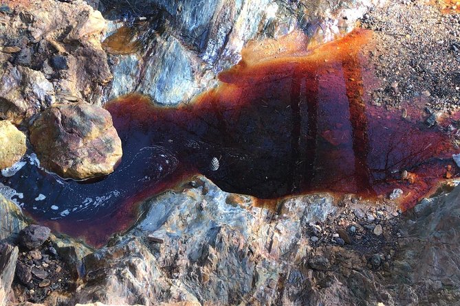 Aracena & Riotinto Mines Tour from Seville - Food and comfort: what to do since meals aren’t included
