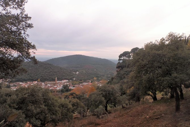 Aracena & Riotinto Mines Tour from Seville - Who should book this tour, and who might skip it