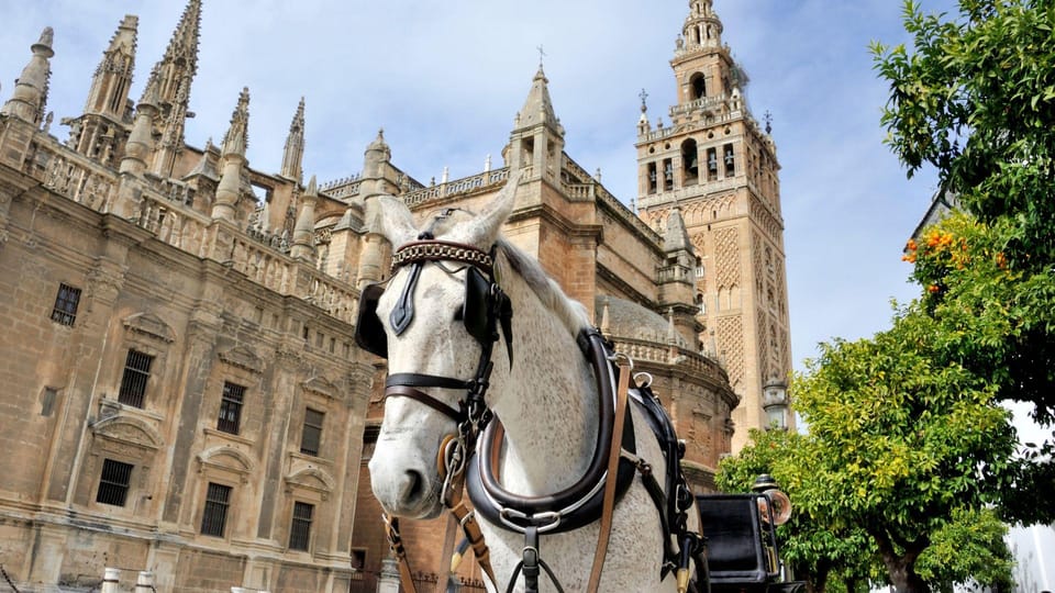 Best of Seville: Private Walking Tour with Local - Price and value: what $30 buys you (and why it can be fair)
