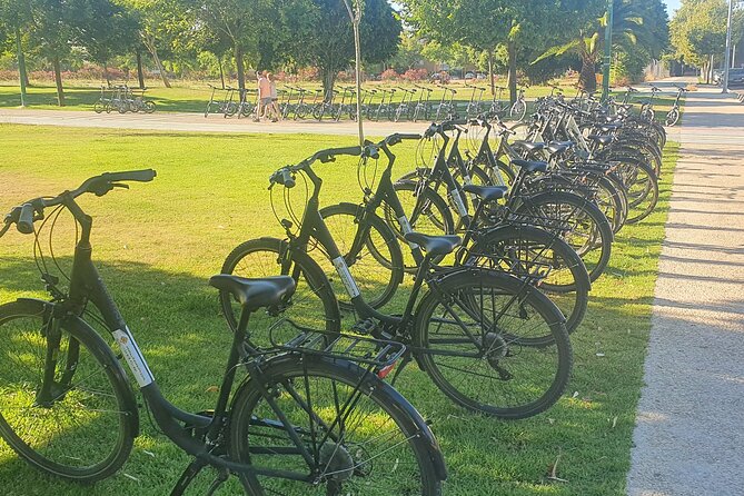 Bike Rental per Day in Seville - Key highlights you’ll actually notice