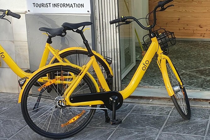 Bike Rental per Day in Seville - Why Seville is a bike city, not just a bike-friendly city