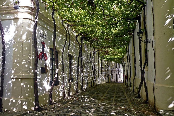 Cadiz and Jerez Day Trip from Seville - English on tour: guides can be stellar, but communication is key