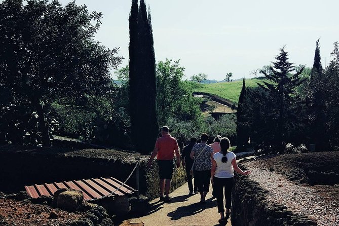 Carmona and Necropolis: Guided Day Tour from Seville - What’s Included (and What You’ll Need to Plan For)