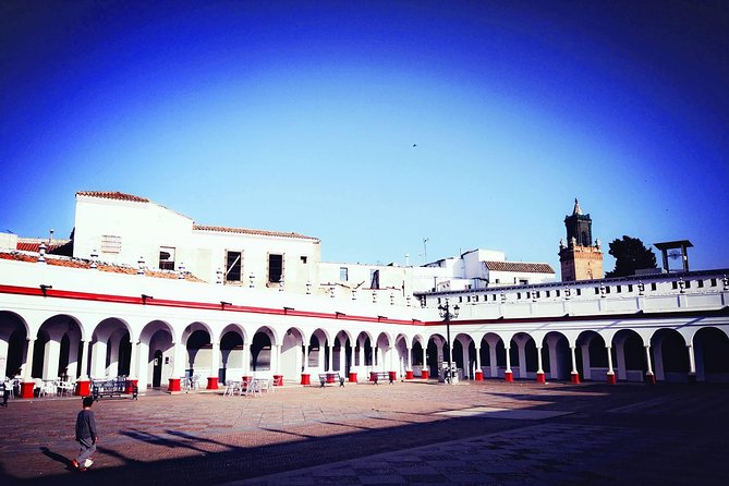 Carmona and Necropolis: Guided Day Tour from Seville - Price and Value: $58.87 for a Tight, Guided Route