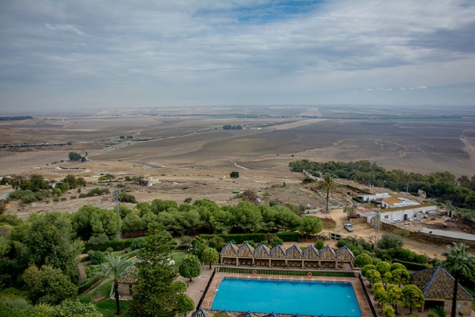 Carmona and Necropolis Tour from Seville - Who Should Book This Carmona and Necropolis Tour?