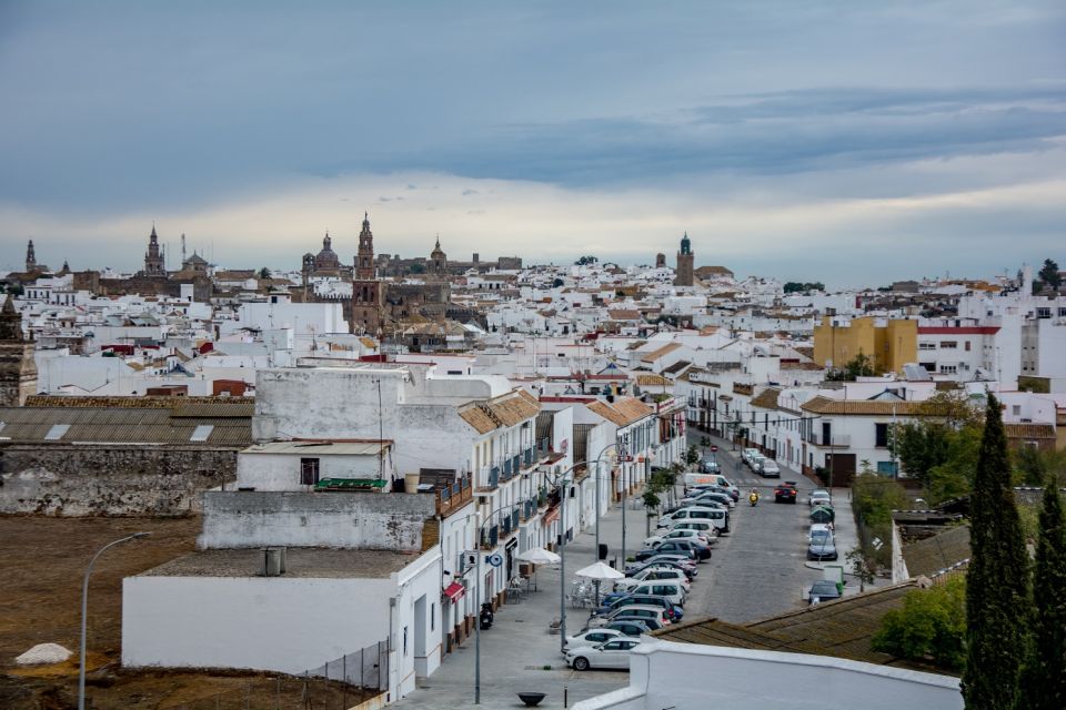 Carmona and Necropolis Tour from Seville - FAQ