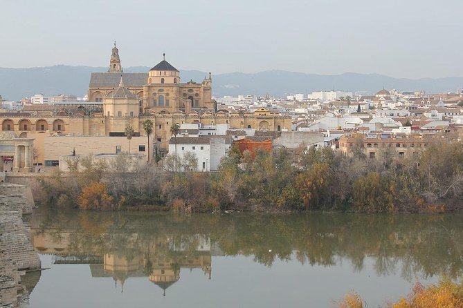Cordoba & Carmona with Mezquita, Synagoge & Patios from Seville - Group Size, Earphones, and Language: Why Your Day Might Vary