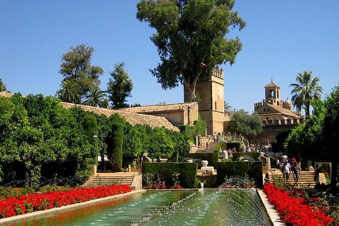 Cordoba Guided Tour Mosque and Cathedral from Seville - Price and value: what $119.77 buys you (and what it doesn’t)