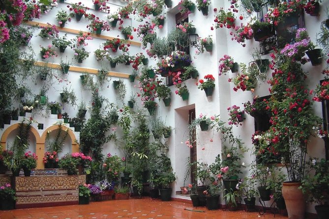 Cordoba Highlights: Guided Day Tour from Seville - Stop 1: La Judería—why the Jewish quarter is the heart of the walking mood