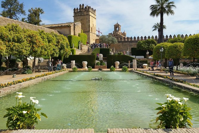 Cordoba Highlights: Guided Day Tour from Seville - Stop 2: Roman Bridge—short stop, big orientation payoff