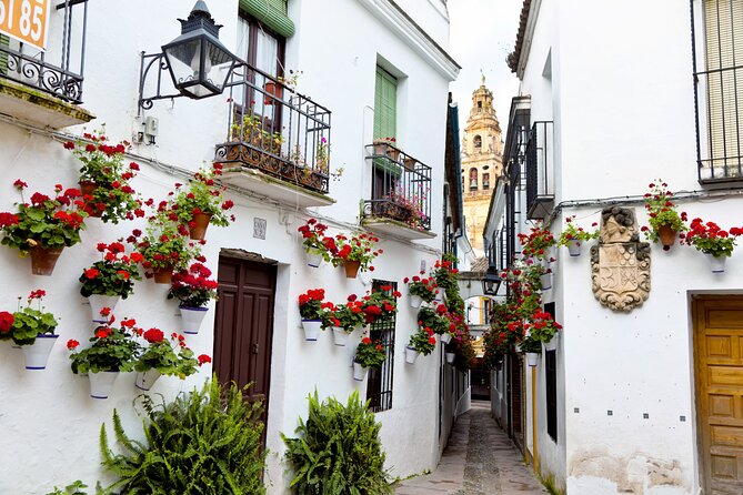 Cordoba Private Daytrip From Sevilla - The big picture: what this private Cordoba day trip does well