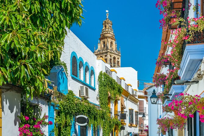Cordoba Private Daytrip from Sevilla by Train - Entering the Mosque-Catedral: why the guide time is the whole point