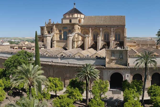 Cordoba Private Daytrip from Sevilla by Train - Who should book this Córdoba daytrip from Seville?