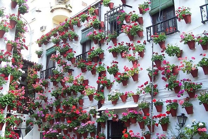 Cordoba private tour from Seville including the great Mosque for up to 8 persons - Cordoba’s Moorish Magic: What You’re Really Buying With This Tour