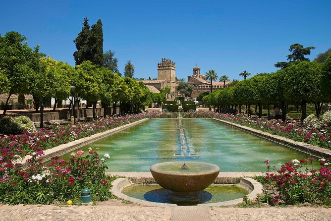 Cordoba private tour from Seville including the great Mosque for up to 8 persons - The Roman Bridge Area: A Small Detail With Real Payoff