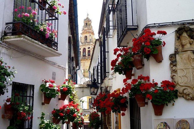Cordoba & & The Mosque Small-Group Day Tour from Seville - Royal Stables, Alcázar, and Julio Romero de Torres: quick stops with purpose