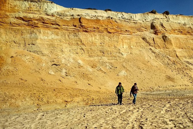 Donana National Park and El Rocío: Guided Tour from Seville - Entering Doñana: Why This Trip Feels Like Going Off-Map