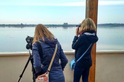 Donana National Park and El Rocío: Guided Tour from Seville - Seville Pickup and the First Stop: Settle In Before You Hit the Park