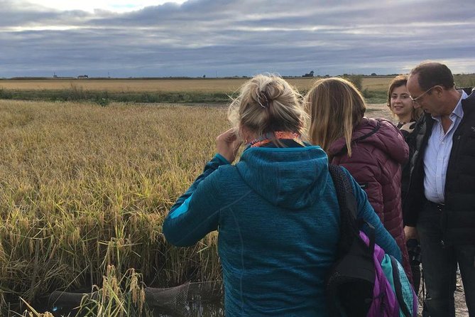 Donana National Park and El Rocío: Guided Tour from Seville - El Rocío: Heritage, Horses, and the Chapel Moment