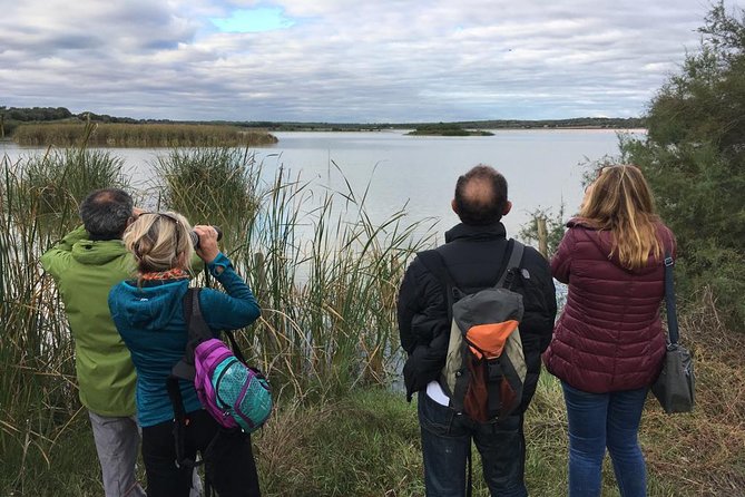Donana National Park and El Rocío: Guided Tour from Seville - Palacio del Acebrón and the Arroyo de la Rocina Walk