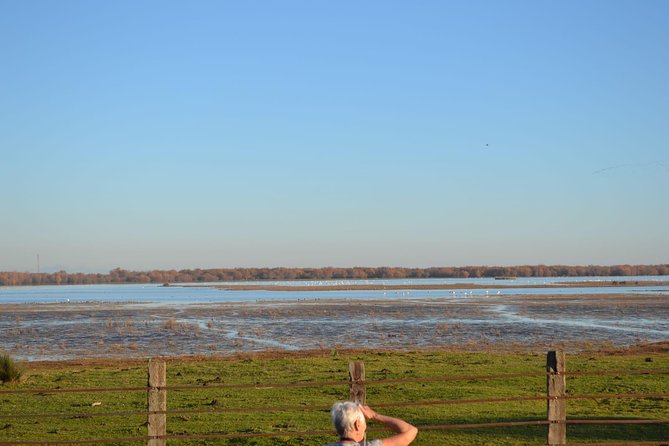 Donana National Park and El Rocío: Guided Tour from Seville - UNESCO World Heritage Centre Stop: Learning the Why