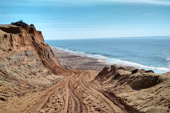 Donana National Park and El Rocío: Guided Tour from Seville - Playa de Matalascanas: Atlantic Dunes and the Changing Coast