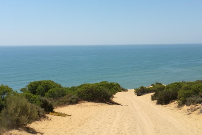 Donana National Park and El Rocío: Private Tour from Seville - Price and what you truly pay for ($324.40 per person)