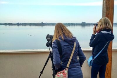 Donana National Park and El Rocío: Private Tour from Seville - The smooth Seville start: pickup and a long day rhythm