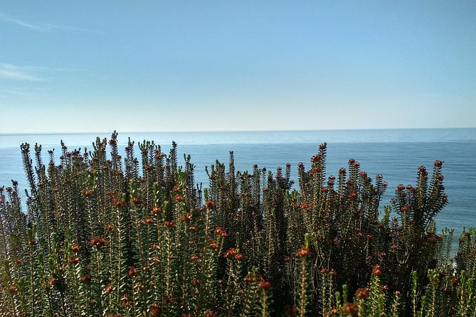 Donana National Park and El Rocío: Private Tour from Seville - Palacio del Acebrón: forest-in-gallery as an ecosystem lesson