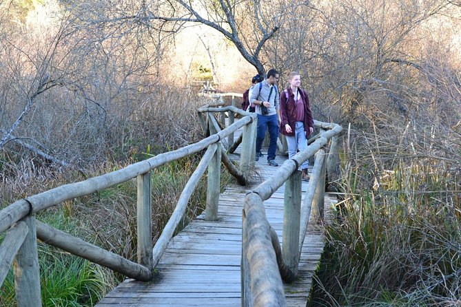 Donana National Park: Guided Day Tour from Seville - Wildlife and Birding Expectations (Including the Iberian Lynx Question)