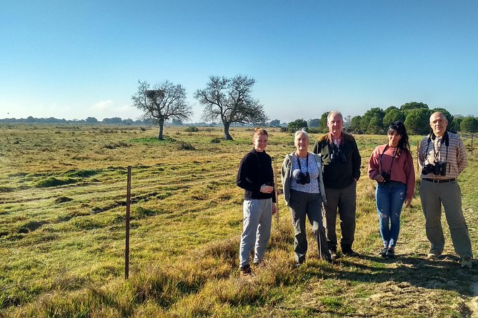 Donana National Park: Guided Day Tour from Seville - Weather, Flooding, and Why Your Plan Should Stay Flexible