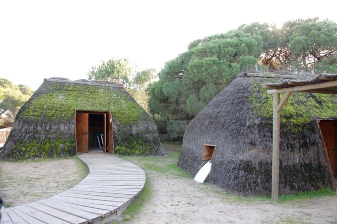 Doñana National Park in 4x4 and El Rocío - Key Highlights That Make This Day Tick