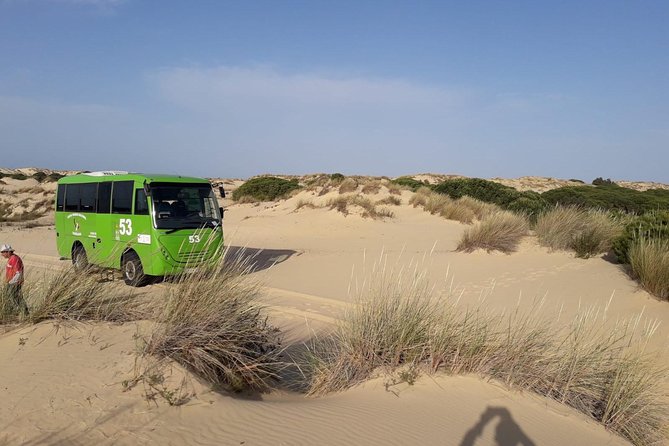 Doñana National Park in 4x4 and El Rocío - A Small-Group Doñana Day Trip From Seville (and Why It Matters)
