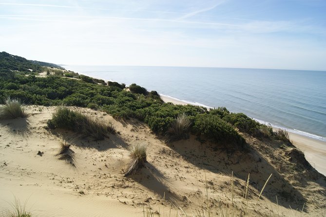 Doñana National Park in 4x4 and El Rocío - Don’t Miss the Acebrón Palace: A Culture Pause Inside Nature