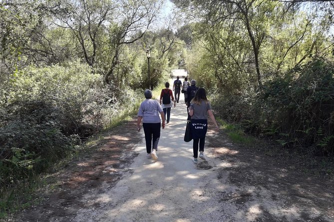Doñana National Park in 4x4 and El Rocío - Price and Value: What You’re Paying For (and What You Still Need)