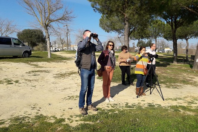 Doñana National Park in 4x4 and El Rocío - What the Day Feels Like in Real Life (So You Can Pack Smart)