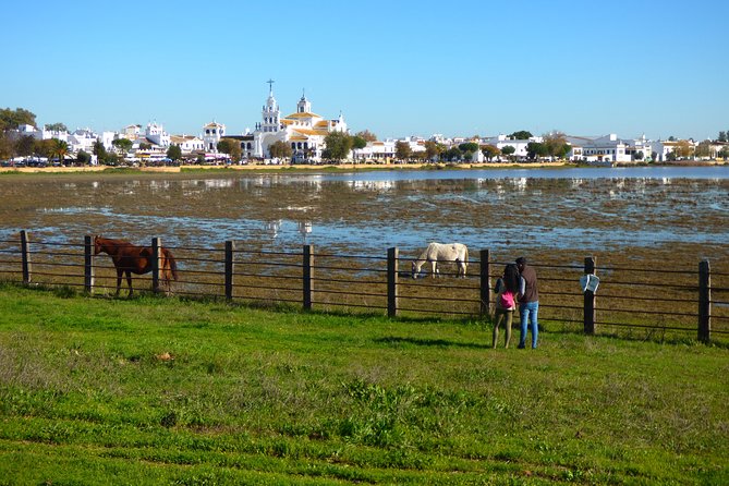 Doñana National Park in 4x4 and El Rocío - Into Doñana by 4x4: Beach, Dunes, Forest, and Marshes in One Ride