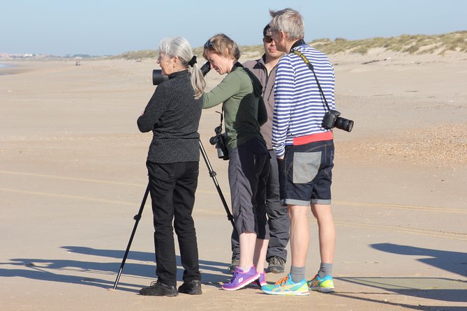 Donana National Park & Matalascanas Guided Tour from Seville - Guides and headsets: hearing the story matters