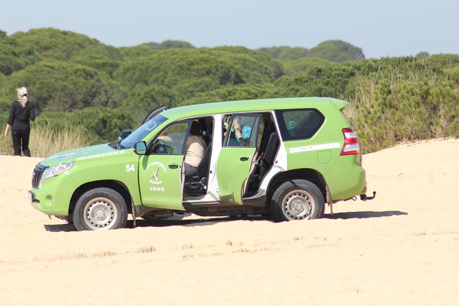 Donana National Park & Matalascanas Guided Tour from Seville - Walking, heat, and comfort: plan like the dunes mean it
