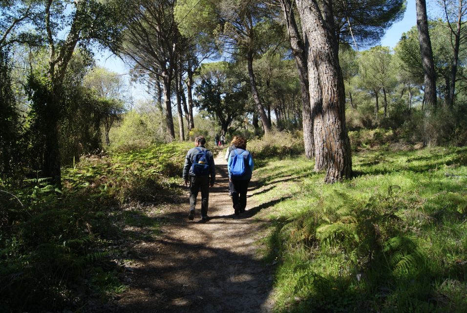 Doñana National Park Off-Road Tour from Seville - Key points before you go